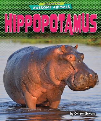 Cover for Colleen Sexton · Hippopotamus (Hardcover Book) (2022)