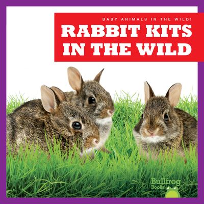 Cover for Chanez · Rabbit Kits in the Wild (Book) (2023)