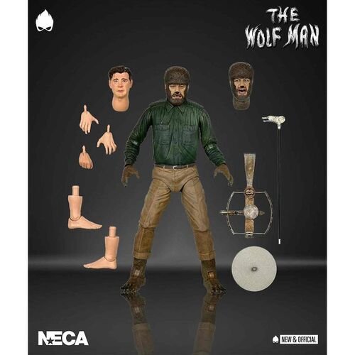 Universal Monsters Wolf Man Ultimate 7in af - Neca - Merchandise -  - 0634482048092 - 29. Dezember 2021