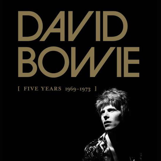 Cover for David Bowie · Five Years - 69-73 (LP) [Box set] (2015)