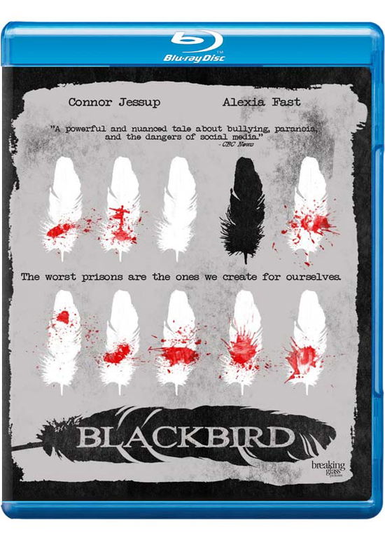 Cover for Blackbird (Blu-Ray) (2016)