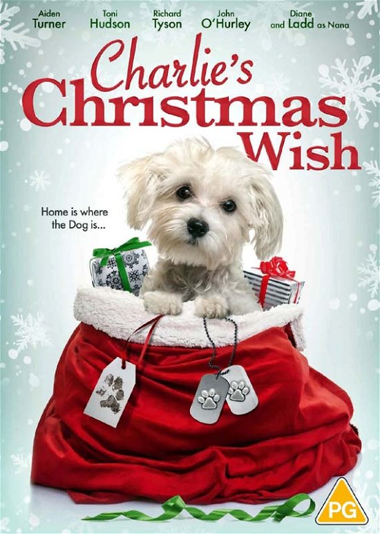 Cover for Sue Ann Taylor · Charlies Christmas Wish (DVD) (2020)