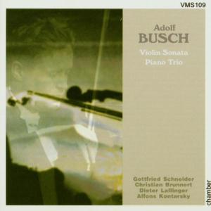 Cover for Busch · Violin Sonata / Trio (CD) (2003)