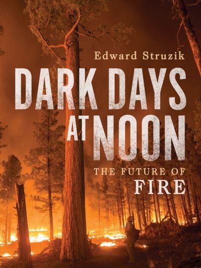 Cover for Edward Struzik · Dark Days at Noon: The Future of Fire (Hardcover Book) (2022)