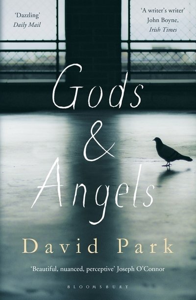 Cover for David Park · Gods and Angels (Paperback Book) (2017)