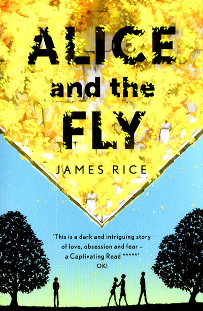 Cover for James Rice · Alice and the Fly: 'a darkly quirky story of love, obsession and fear' Anna James (Pocketbok) (2015)