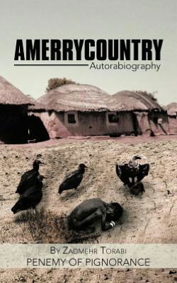 Cover for Penemy of Pignorance · Amerrycountry: Autorabiography (Paperback Book) (2012)