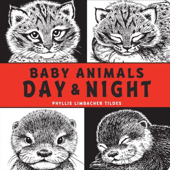 Cover for Phyllis Limbacher Tildes · Baby Animals Day &amp; Night (Board book) (2016)