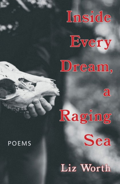 Inside Every Dream, a Raging Sea - Liz Worth - Livros - Book*hug - 9781771669092 - 22 de outubro de 2024