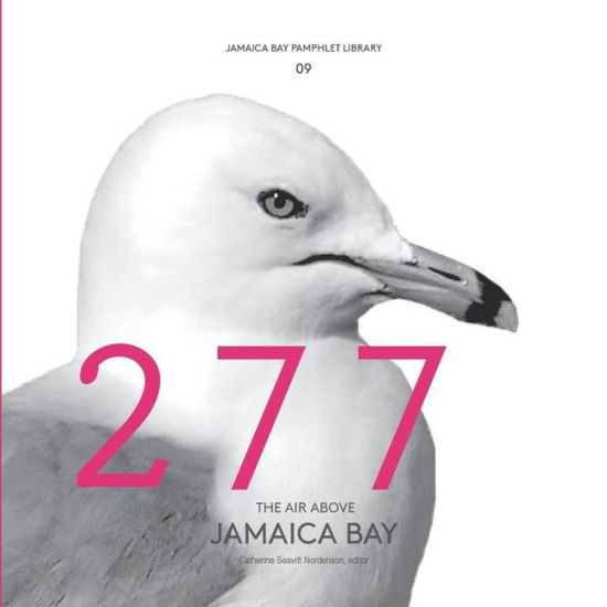 Cover for Catherine Seavitt Nordenson · Jamaica Bay Pamphlet Library 09: the Air Above Jamaica Bay (Paperback Book) (2015)