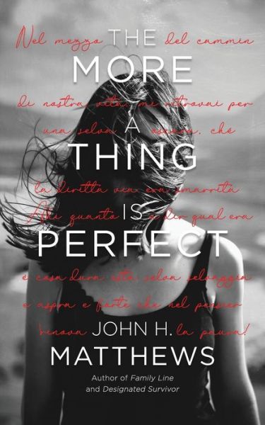 Cover for John H Matthews · The More a Thing is Perfect (Paperback Book) (2020)