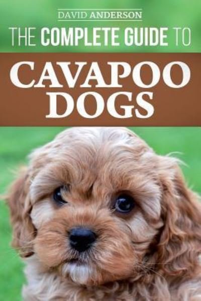The Complete Guide to Cavapoo Dogs - David Anderson - Books - Createspace Independent Publishing Platf - 9781985723092 - February 9, 2018