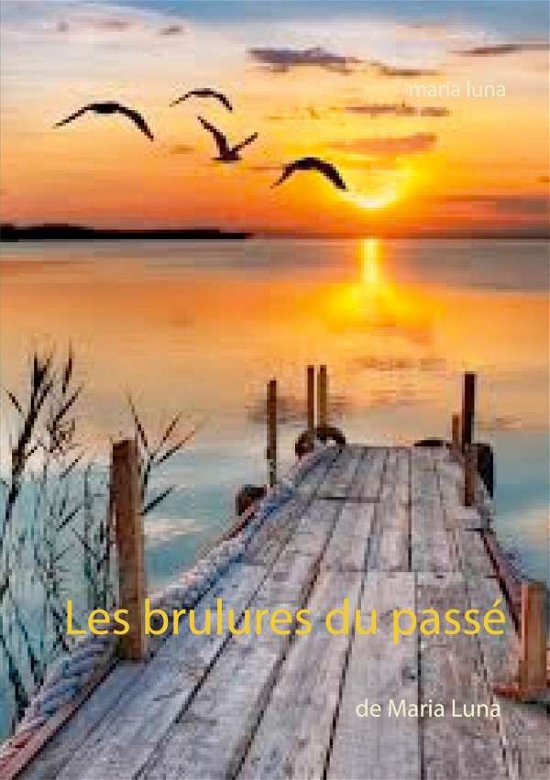 Cover for Luna · Les brulures du passé (N/A) (2021)