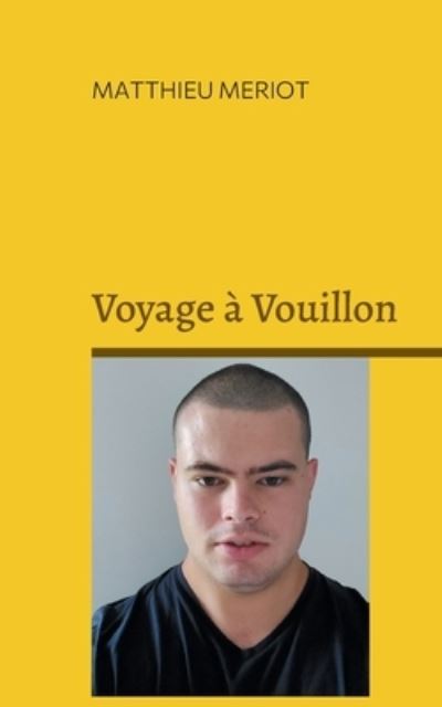 Voyage a Vouillon - Matthieu Meriot - Books - Books on Demand - 9782322411092 - January 17, 2022
