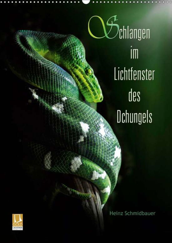 Schlangen im Lichtfenster d - Schmidbauer - Bücher -  - 9783671789092 - 