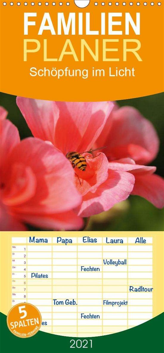 Cover for Hildebrand · Schöpfung im Licht - Familie (Bog)