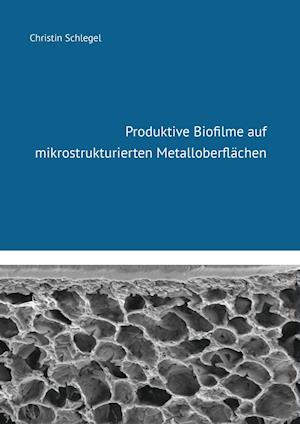 Cover for Christin Schlegel · Produktive Biofilme auf mikrostrukturierten Metalloberflächen (Paperback Book) (2016)