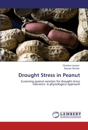 Cover for Bajirao Shinde · Drought Stress in Peanut: Screening Peanut Varieties for Drought Stress Tolerance- a Physiological Approach (Paperback Book) (2012)