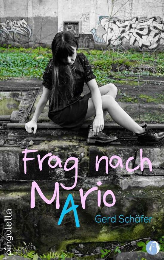 Cover for Gerd Schäfer · Frag nach Mario (Paperback Book) (2020)