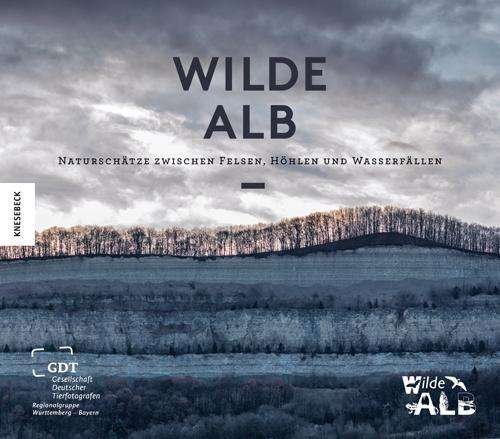 Cover for Nill · Wilde Alb (Bog)