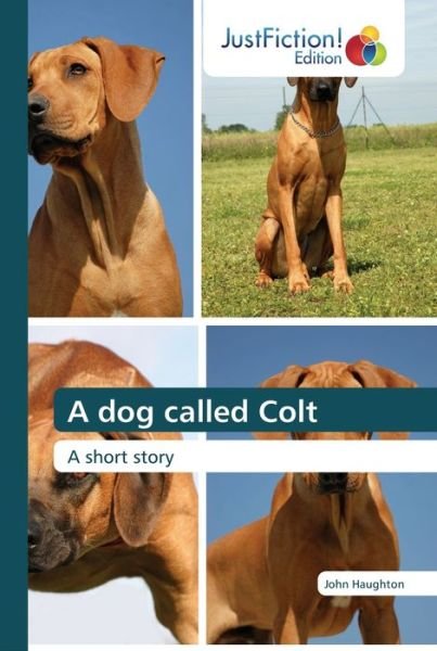 Cover for John Haughton · A dog called Colt (Paperback Book) (2020)
