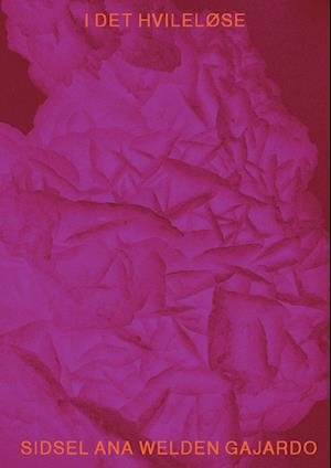 Cover for Sidsel Ana Welden Gajardo · I det hvileløse (Paperback Book) [1e uitgave] (2021)