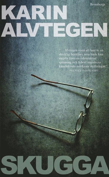 Cover for Karin Alvtegen · Skugga (Paperback Book) (2013)