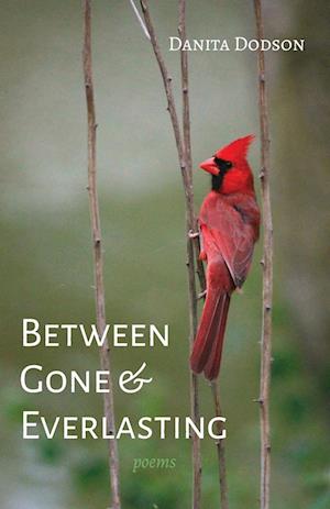 Cover for Danita Dodson · Between Gone and Everlasting (Book) (2024)
