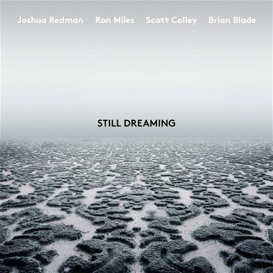Still Dreaming - Joshua Redman - Musiikki - NONESUCH - 0075597933093 - perjantai 25. toukokuuta 2018