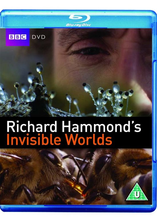 Cover for Richard Hammonds Invisible Wo · Br (Blu-ray) (2023)