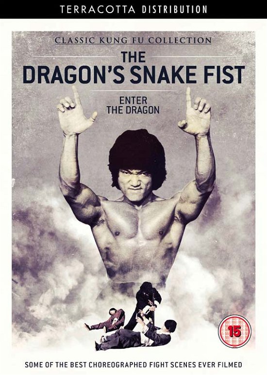 Cover for Godfrey Ho · Dragons Snake Fist (DVD) (2015)