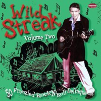 Wild Streak Volume Two - Various Artists - Muziek - Vee-Tone Records - 5060229020093 - 2 juli 2012