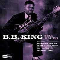 The Blues - B.b.king - Musik - IMT - 5060329560093 - 4. august 2014