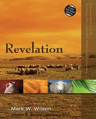 Cover for Mark W. Wilson · Revelation - Zondervan Illustrated Bible Backgrounds Commentary (Paperback Book) (2015)