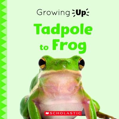 From Egg to Frog (Explore the Life Cycle!) - Scholastic - Bøker - Scholastic Library Publishing - 9780531137093 - 1. februar 2021