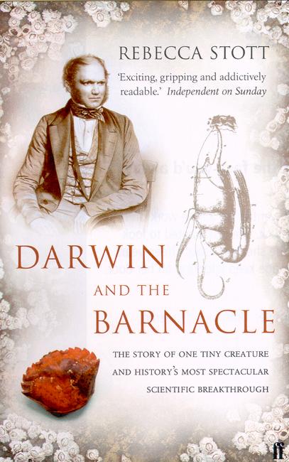 Darwin and the Barnacle - Rebecca Stott - Libros - Faber & Faber - 9780571216093 - 4 de marzo de 2004