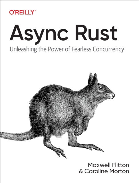 Cover for Maxwell Flitton · ASYNC Rust: Unleashing the Power of Fearless Concurrency (Paperback Book) (2024)