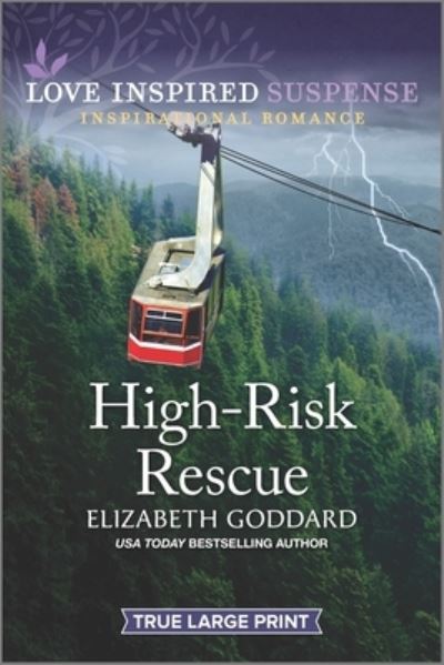 Cover for Elizabeth Goddard · High-Risk Rescue (Paperback Book) (2022)