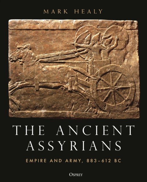 Cover for Mark Healy · The Ancient Assyrians: Empire and Army, 883–612 BC (Gebundenes Buch) (2023)
