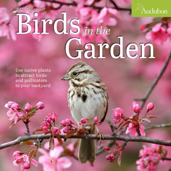 Cover for National Audubon Society · Audubon Birds in the Garden Wall Calendar 2025: Use Native Plants to Attract Birds and Pollinators to Your Backyard (Calendar) (2024)