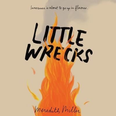 Cover for Meredith Miller · Little Wrecks Lib/E (CD) (2017)