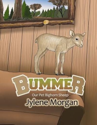 Cover for Jylene Morgan · Bummer (Paperback Bog) (2017)