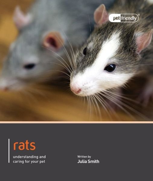 Rat - Pet Friendly - Julie Smith - Kirjat - Magnet & Steel Publishing Ltd - 9781907337093 - maanantai 1. lokakuuta 2012