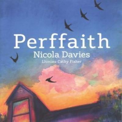 Cover for Nicola Davies · Perffaith (Paperback Book) (2020)