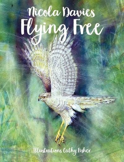 Cover for Nicola Davies · Country Tales: Flying Free (Paperback Book) [New edition] (2018)