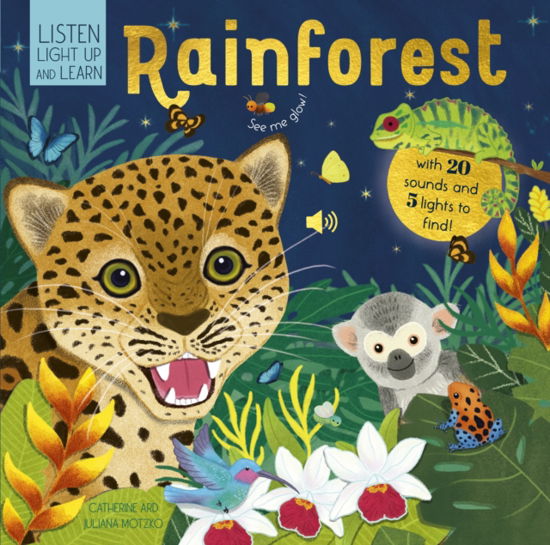 Cover for Catherine Ard · Sounds of the Rainforest (Board book) (2023)