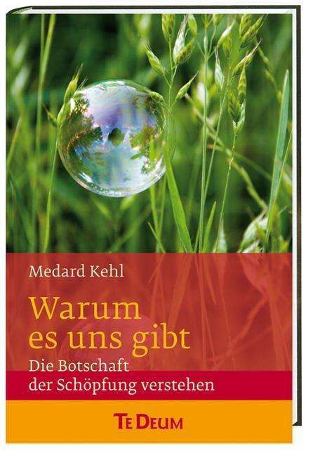 Cover for Kehl · Warum es uns gibt (Bok)