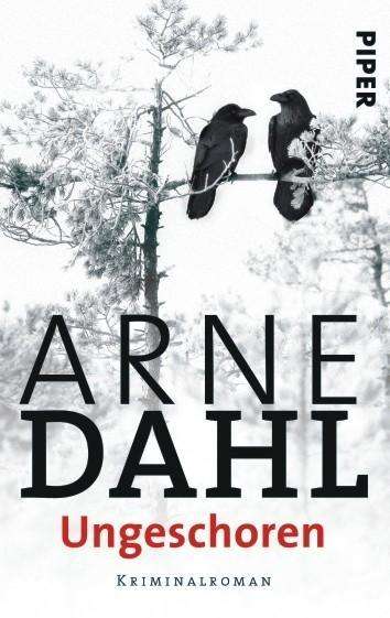 Piper.05309 Dahl.Ungeschoren - Arne Dahl - Boeken -  - 9783492253093 - 