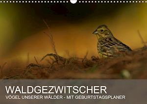 Cover for Krebs · Waldgezwitscher - Vögel unserer W (Book)