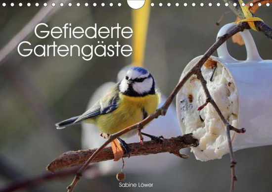 Cover for Löwer · Gefiederte Gartengäste (Wandkalen (Buch)